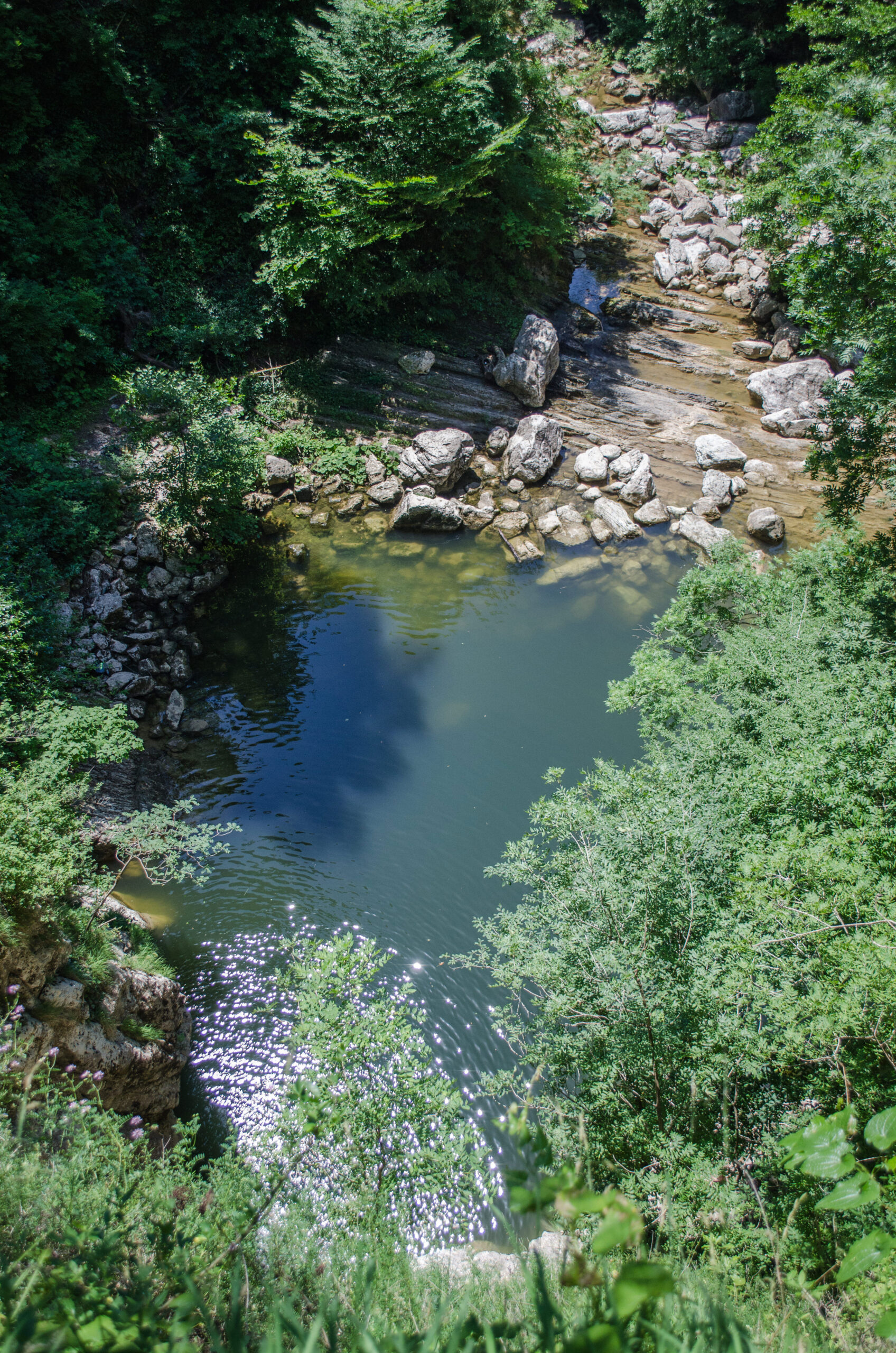Natural swimming pool with rocks and lush greenery like Barton Springs in Austin