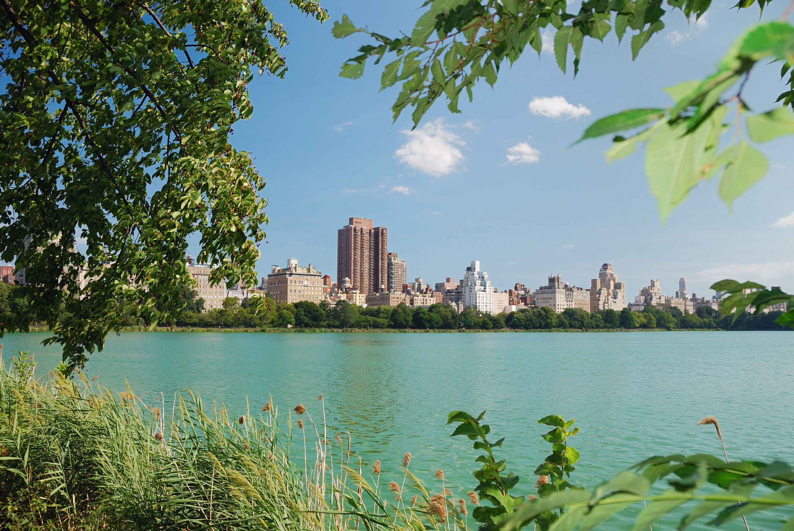 Central Park lake and trees New York City