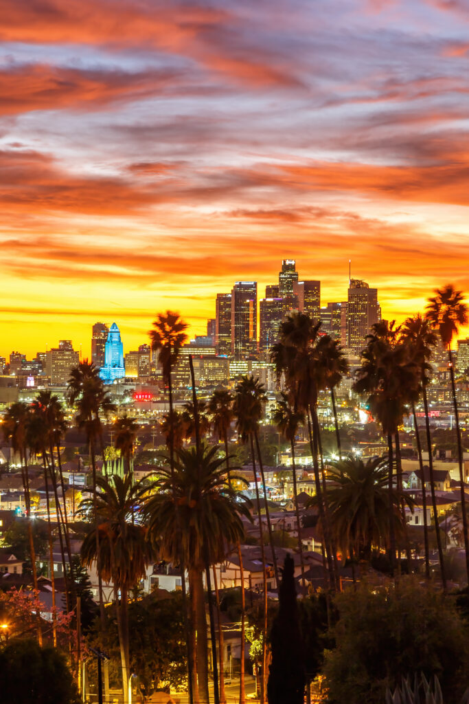 Downtown Los Angeles skyline with palm trees at sunset
