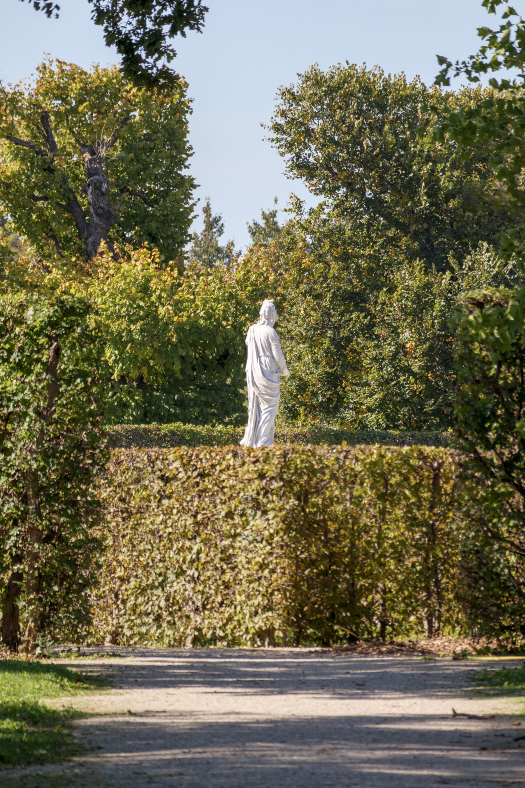 White classical statue in a manicured garden with tall green hedges and trees at Grounds for Sculpture New Jersey