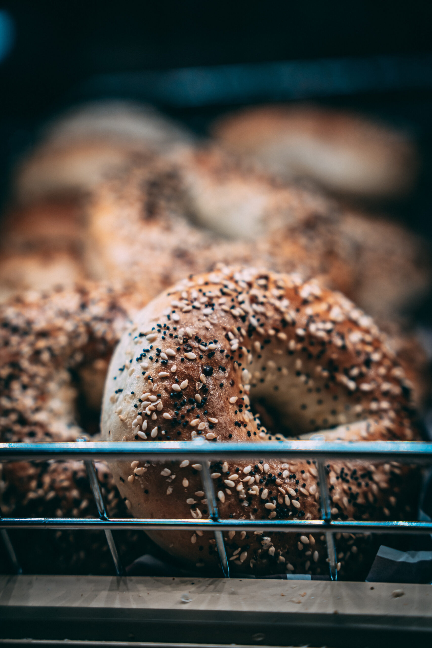 Classic New York bagels covered in sesame seeds