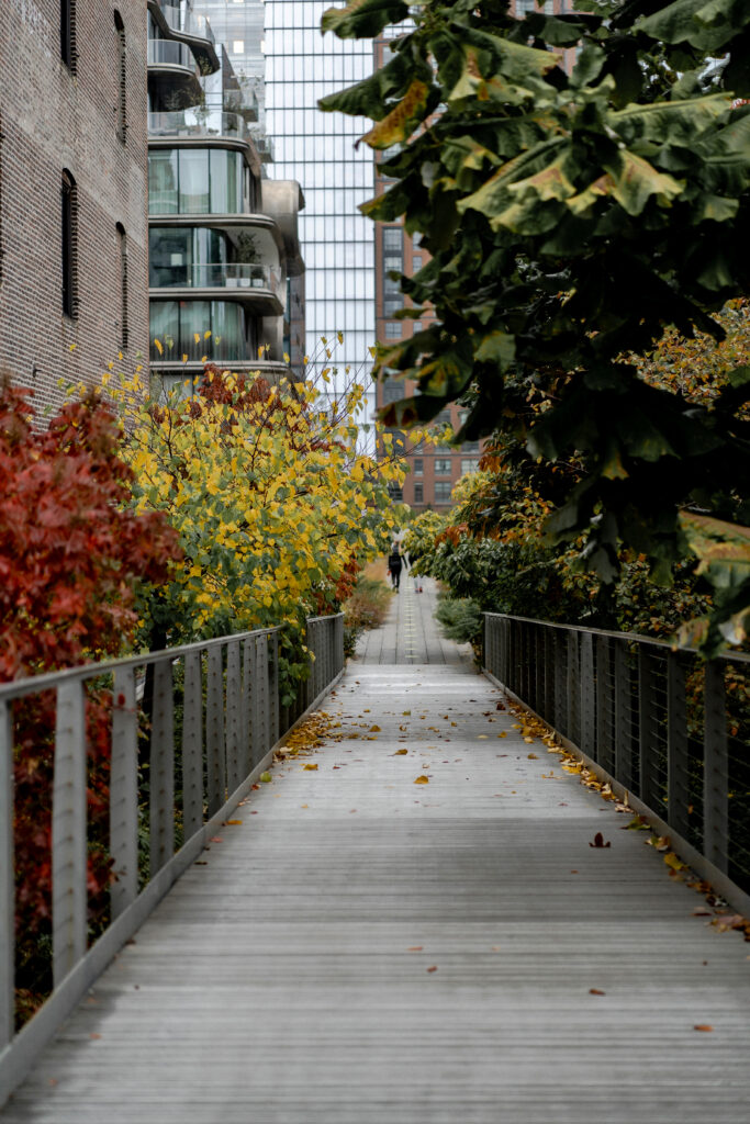The High Line elevated park in New York City